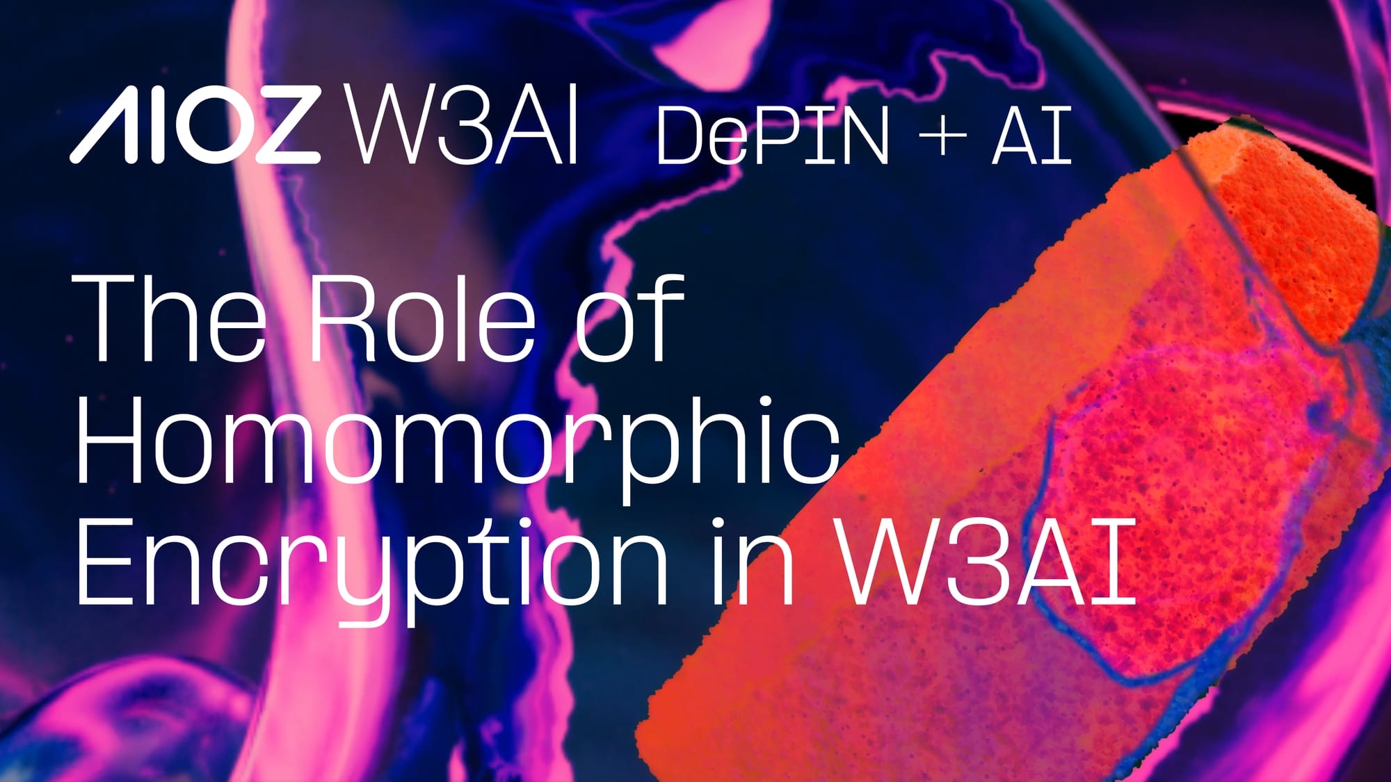 The Role of Homomorphic Encryption in W3AI