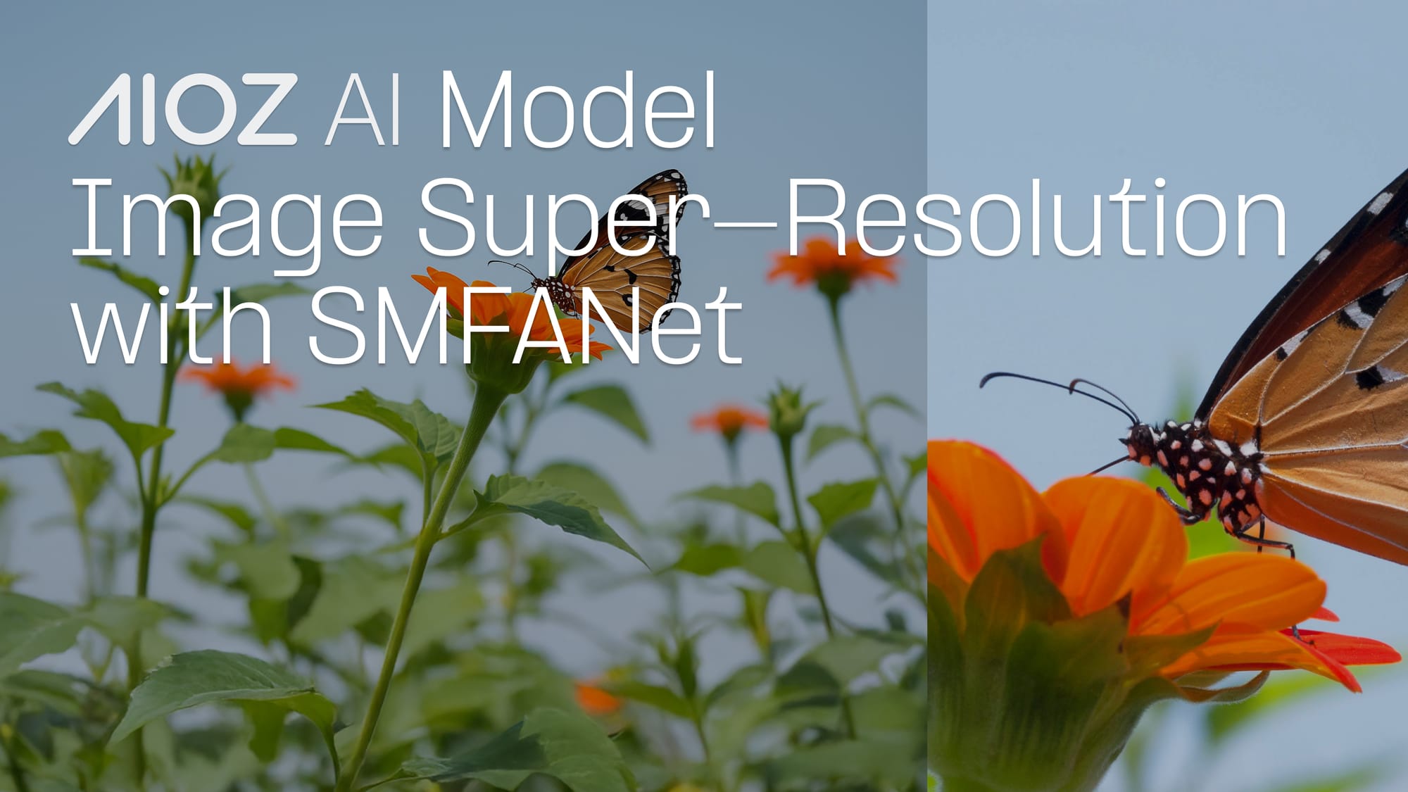 Image Super-Resolution with SMFANet — High-Quality Image Upscaling in One Pass