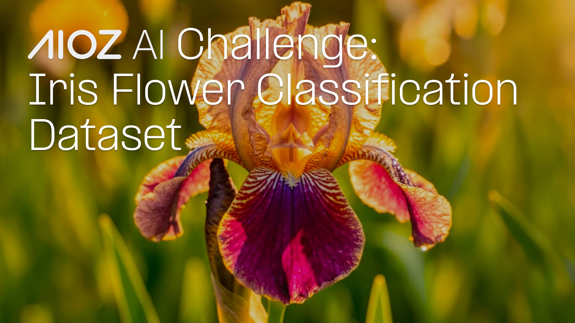 A Closer Look at the Iris Flower Classification Challenge Dataset