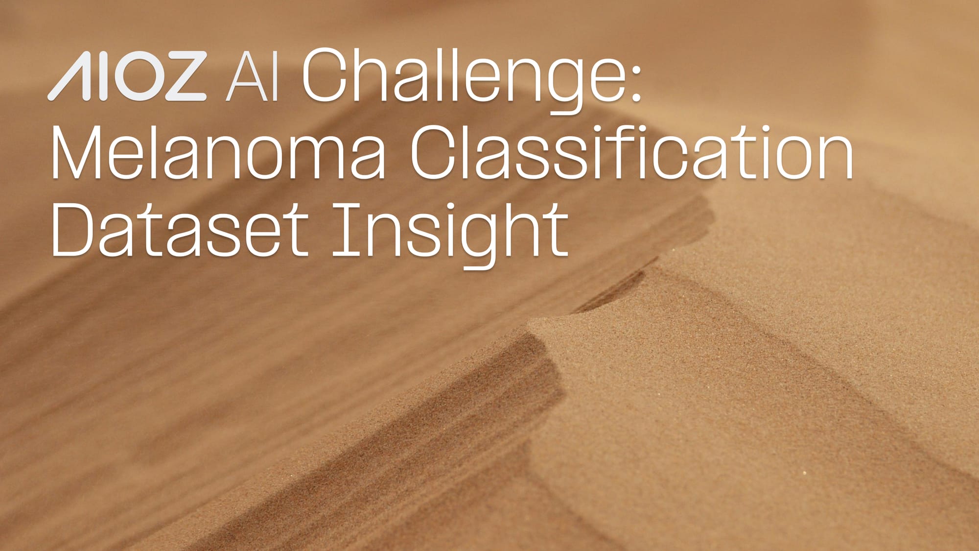 What You Actually See in the Melanoma Classification Dataset